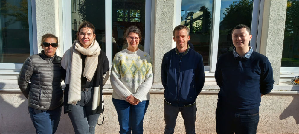 equipe-pedagogique